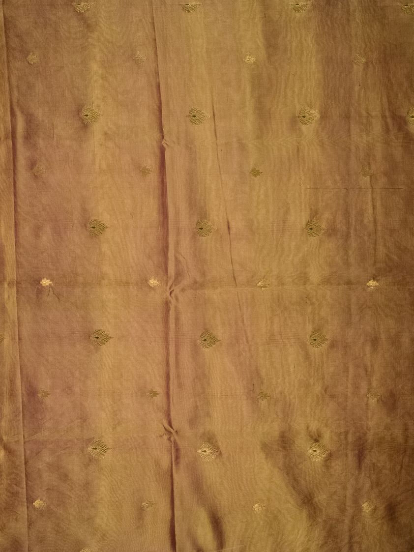 Buti Tussar Silk -PR2597T