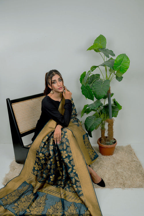 Phooldar – DPS262T