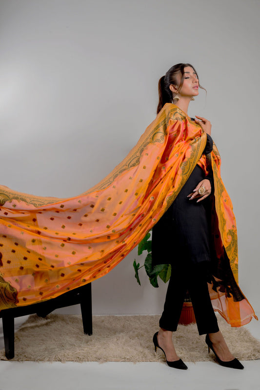 Mughal Paisley – DPS426F