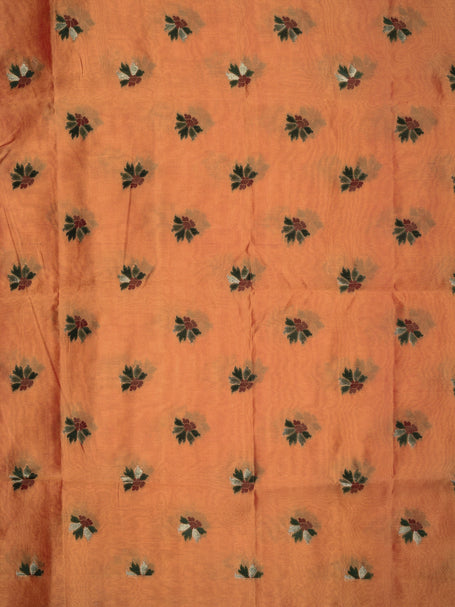 Tussar silk -PR2567F