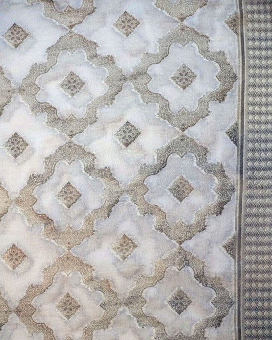 Handloom Pure Banarsi Chiffon - RC2325