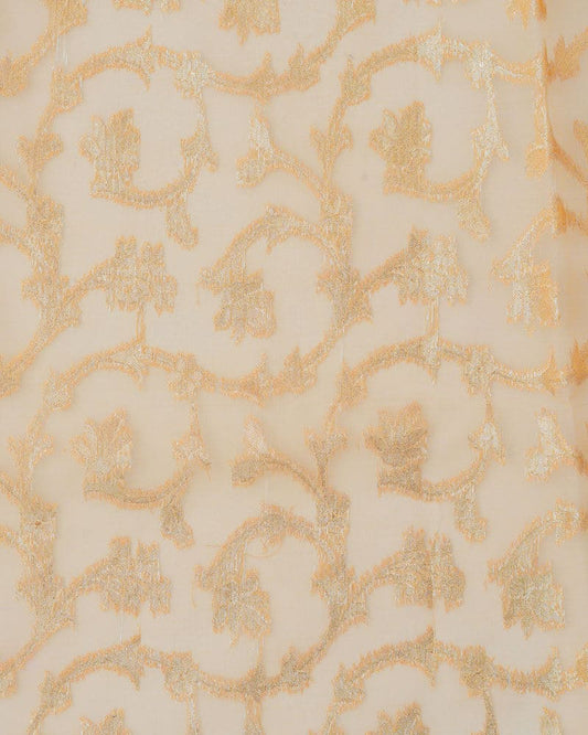 Handloom Pure Organza Fabric - RR2082CP