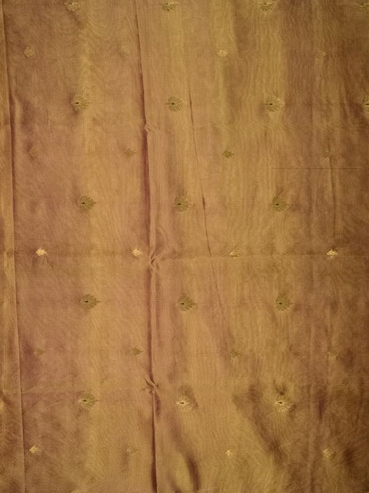 Buti Tussar Silk -PR2597T