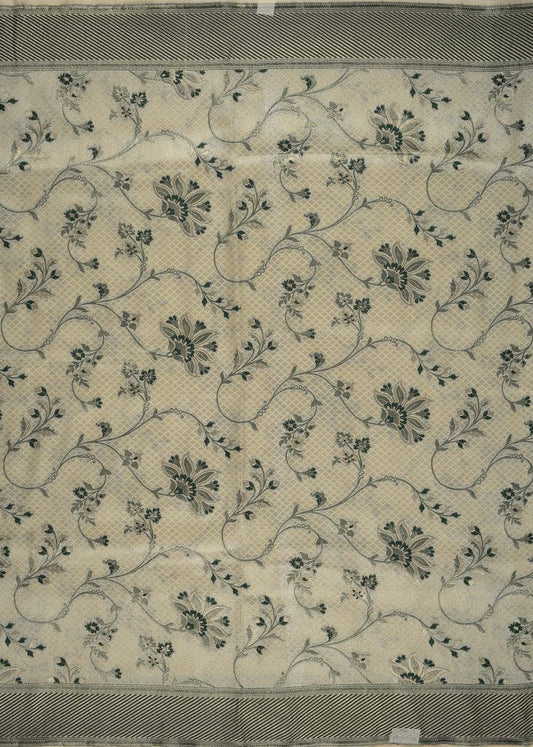 Kimkhab-BBZZ2556F