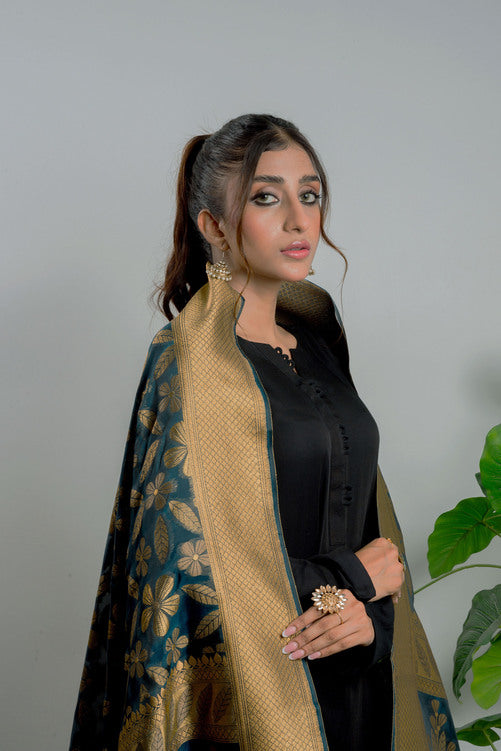 Phooldar – DPS262T