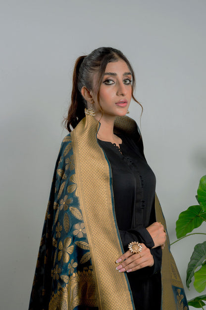 Phooldar – DPS262T