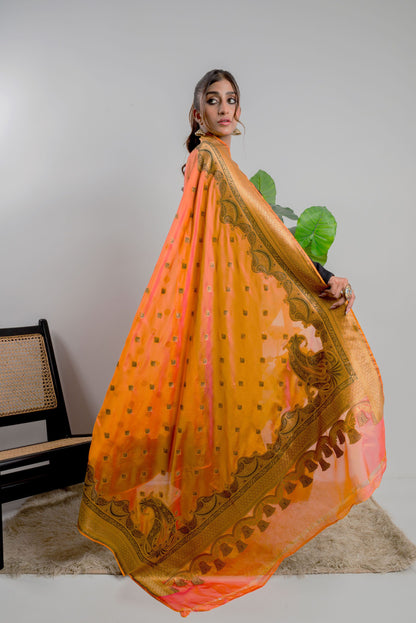 Mughal Paisley – DPS426F