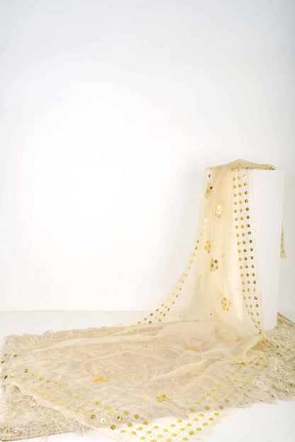 Organza Mukesh- Dom2