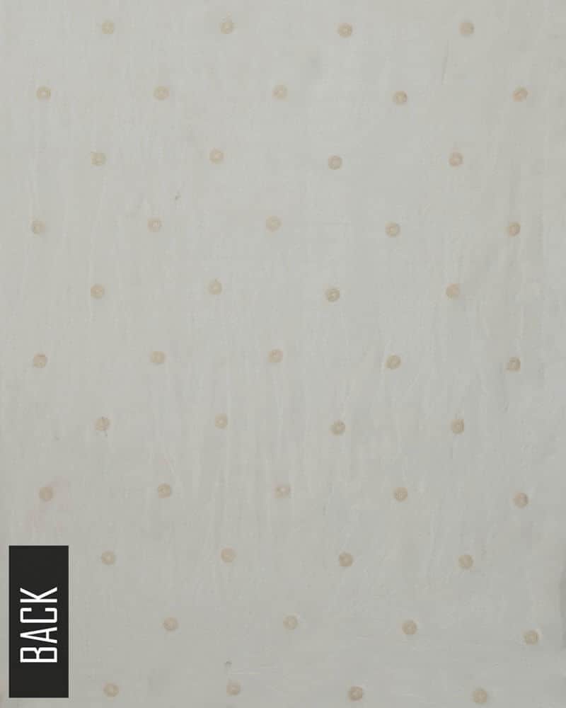 Chikankari Chiffon 2 Piece Suit