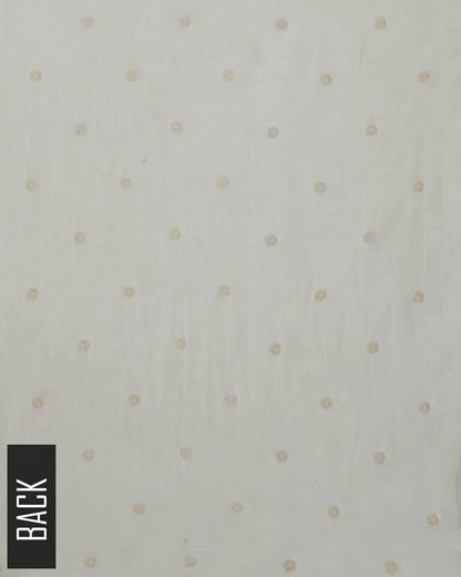 Chikankari Chiffon 2 Piece Suit