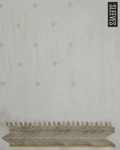 Chikankari Chiffon 2 Piece Suit
