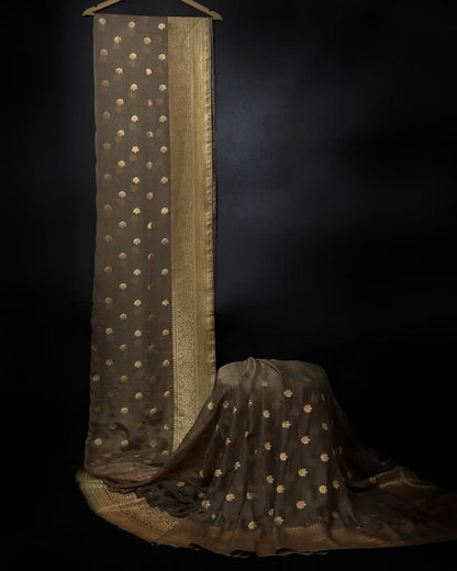 Handloom Pure Chiffon Saree